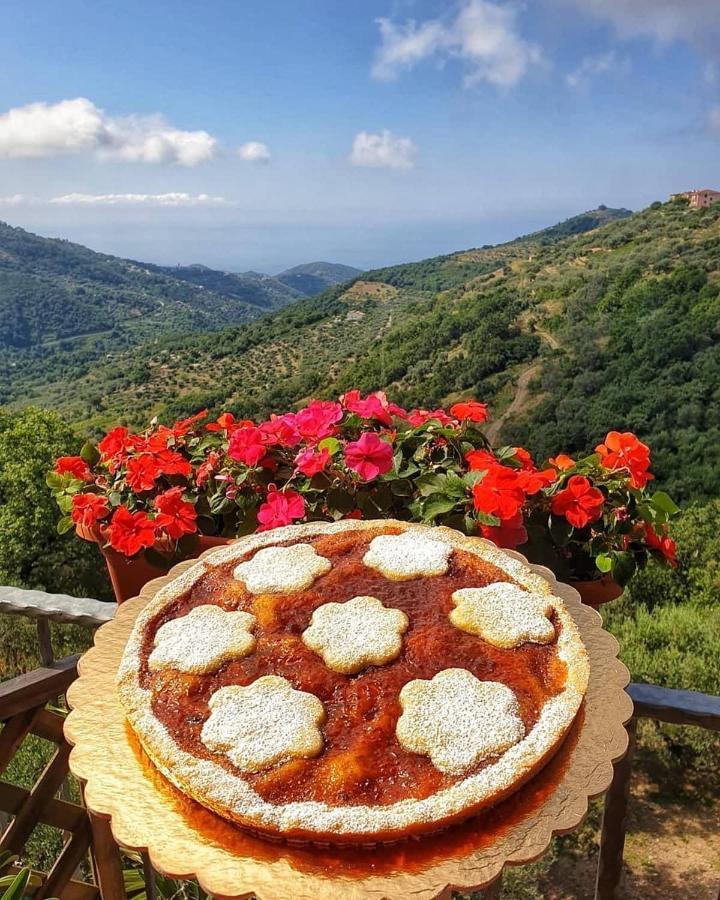 Villa Bernadette San Mauro Cilento Exteriör bild